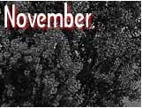 November 2017